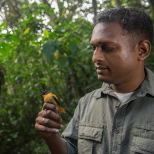 robin-profile