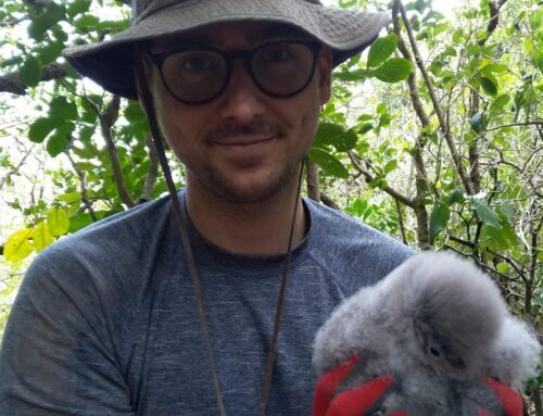 March 2025 Funk Biogeography Seminar — André Bellvé